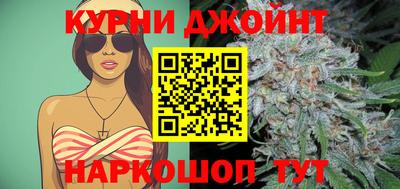 стафф Шелехов