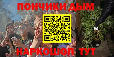 стафф Шелехов