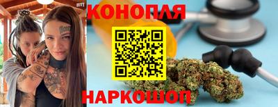 стафф Шелехов