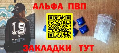 стафф Шелехов